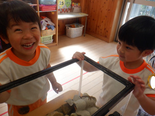 Dscf8831
