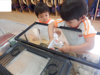 Dscf8836