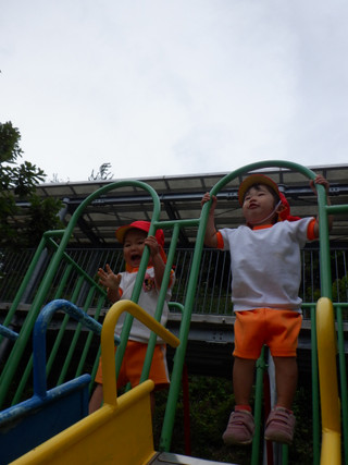 Dscf5248