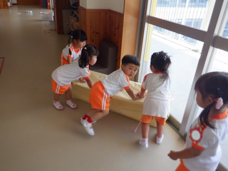 Dscf5313