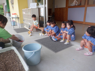Dscf6635 Dscf6635
