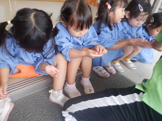 Dscf6643 Dscf6643