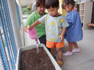 Dscf6651 Dscf6651