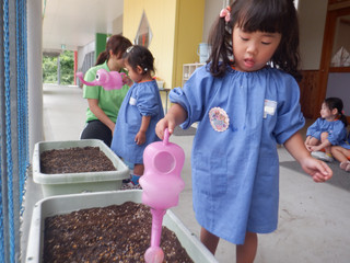 Dscf6658 Dscf6658